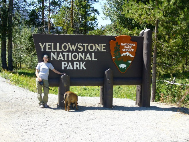 Yellowstone National Park, 2008